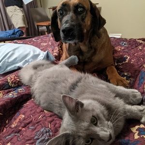 Meet your Posher, Cristina